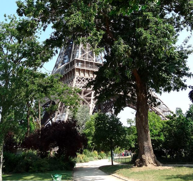 trees in eiffel tower garden